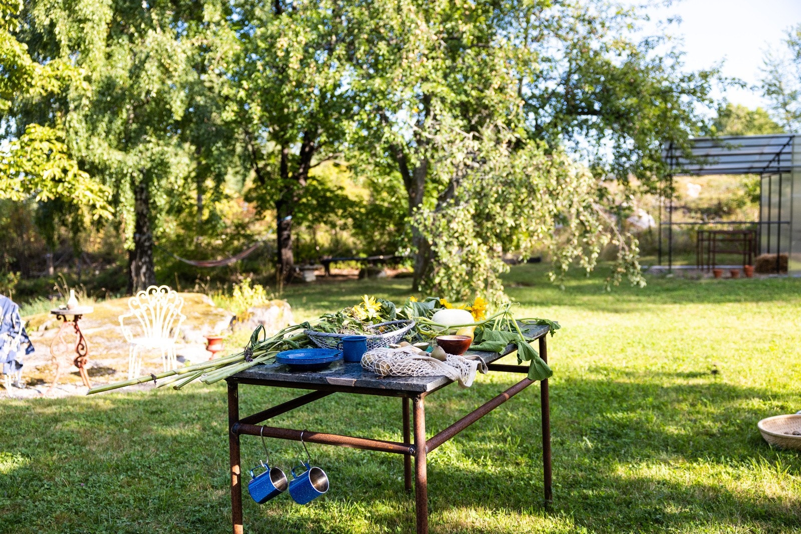 Det er gode muligheter for å dyrke frukt og grønsaker, også ved deling av tomten. Galleribilde
