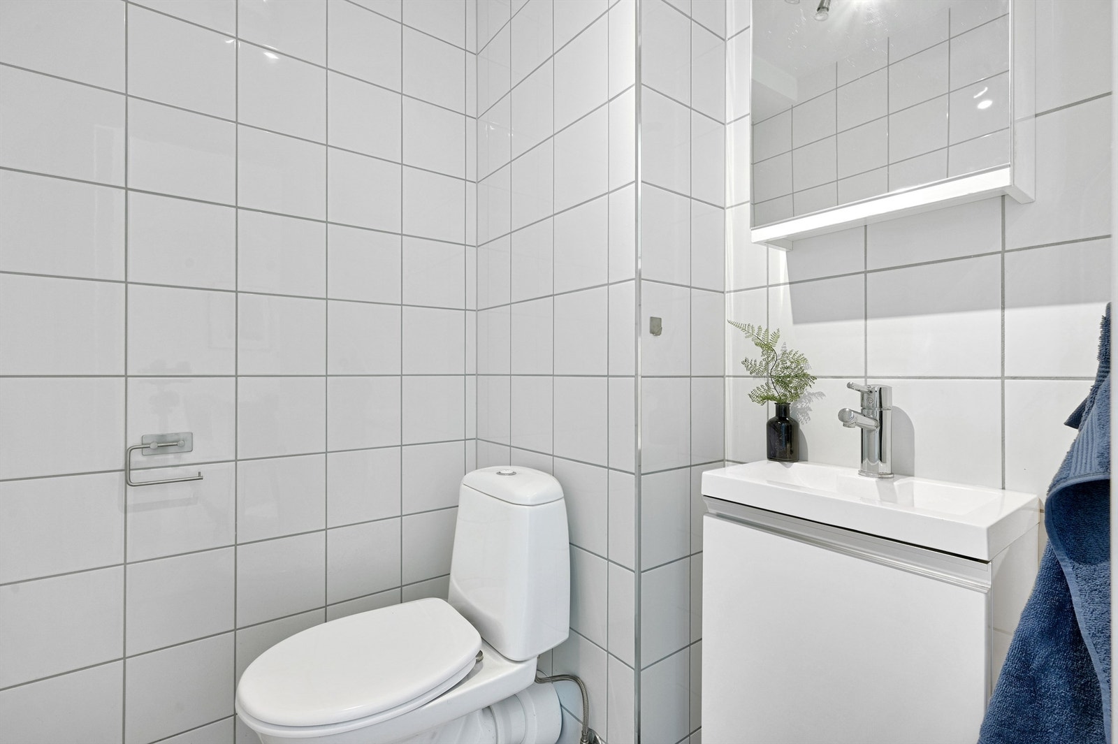 Toalettrom med wc og servant med speilskap i 1. etg. Galleribilde