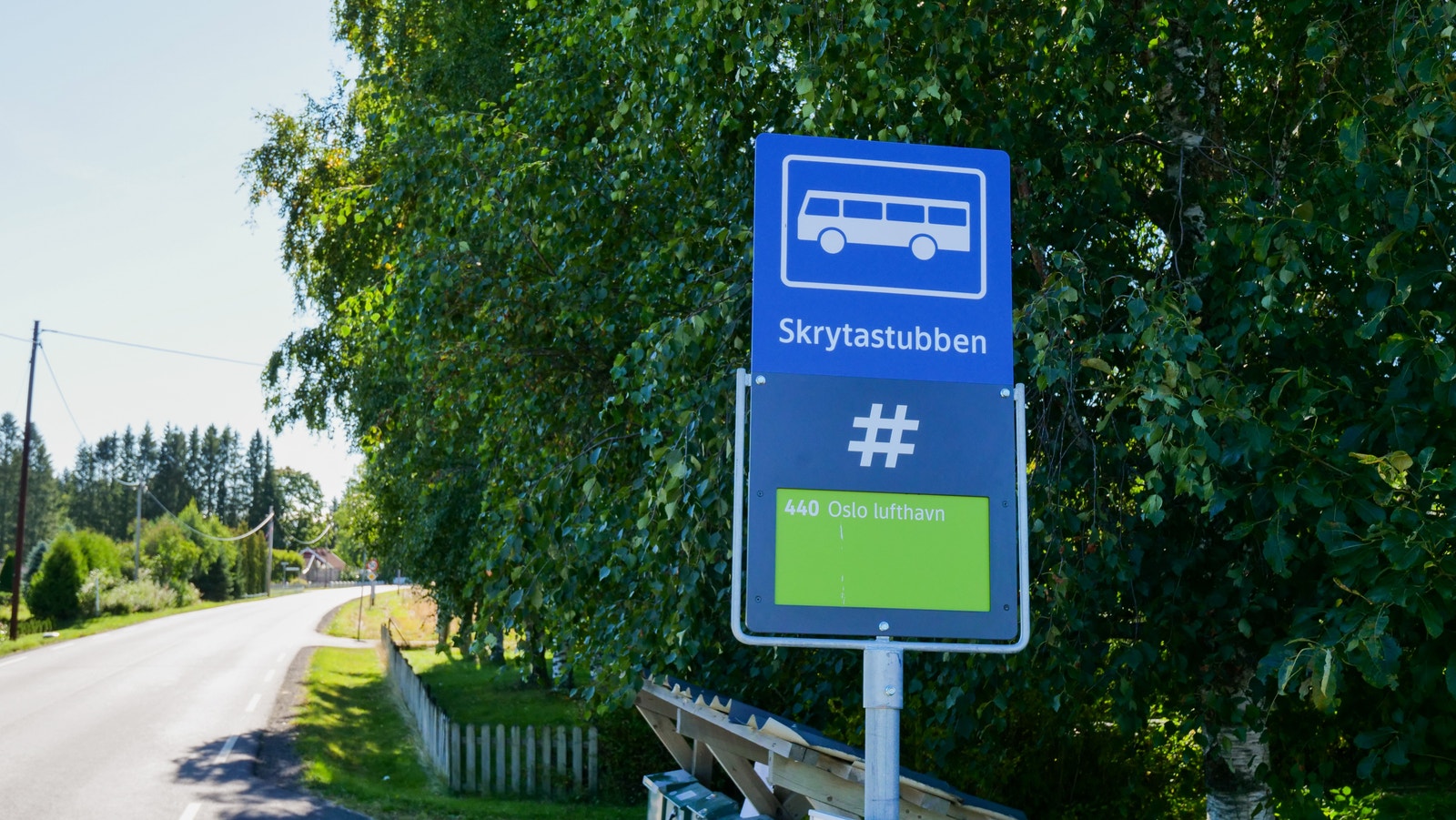 Busstoppet rett ved feltet Galleribilde