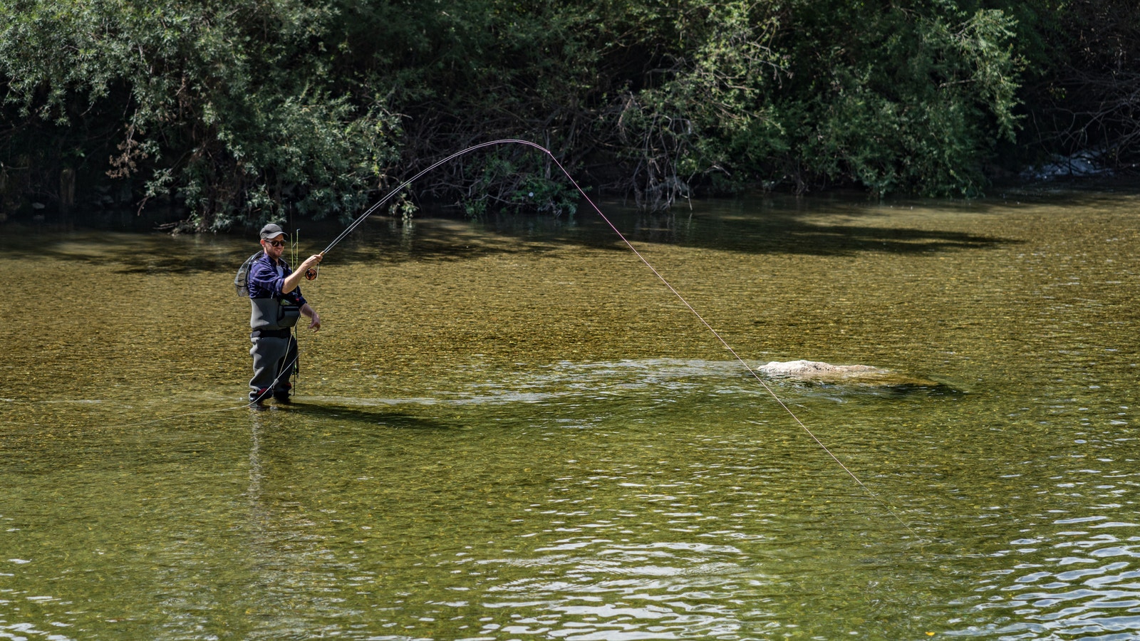 Flotte fiskemuligheter Galleribilde