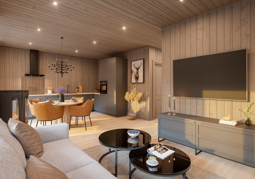 3D illustrasjon innvendig type A og B Galleribilde