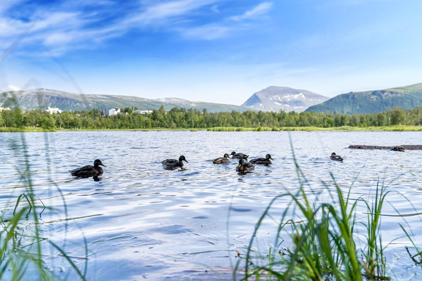 Leiligheten har en sentral beliggenhet med gangavstand til lysløypa, Bukta og flere flotte turområder. I tillegg er det gode kollektivforbindelser i området med hyppige avganger!