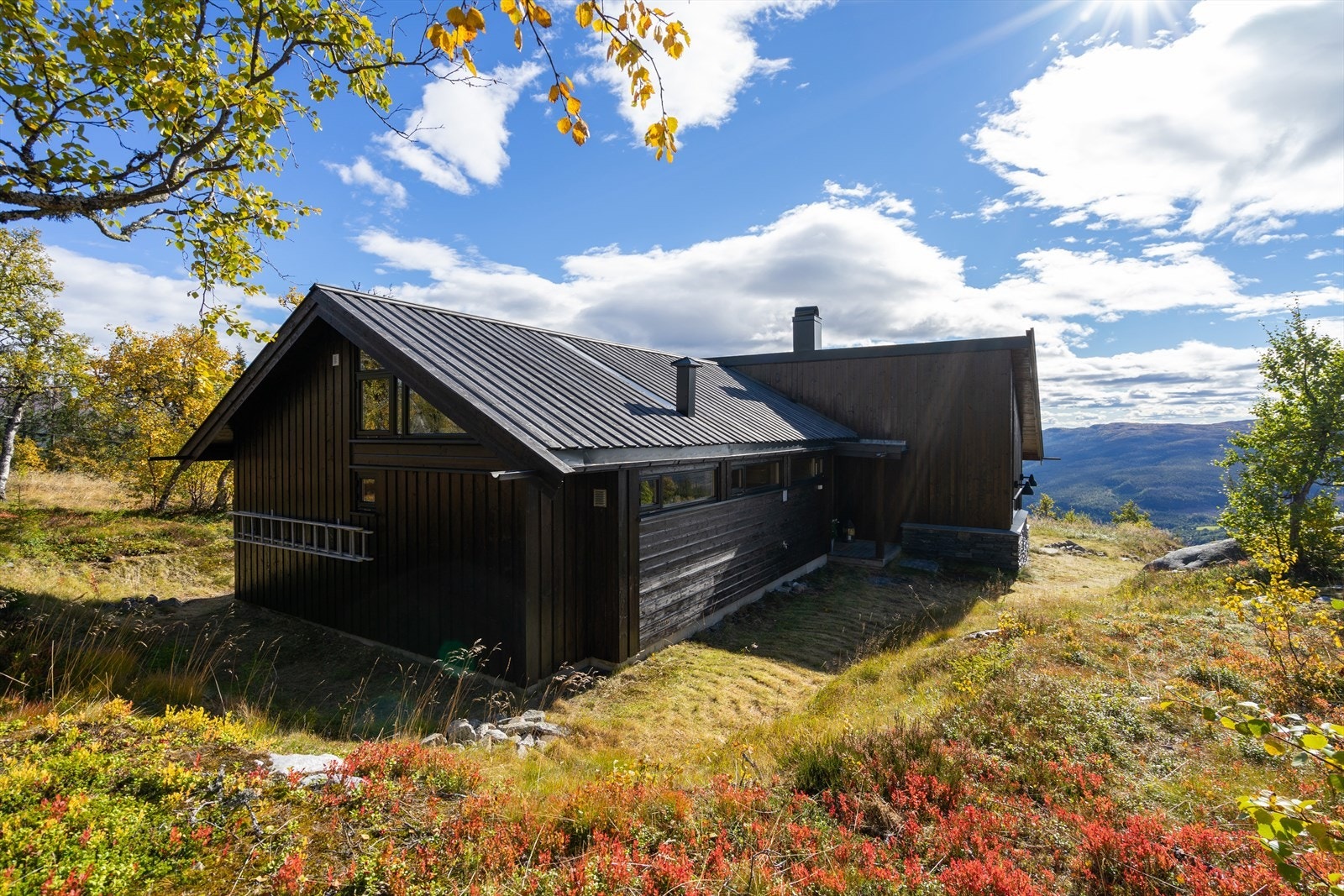 Selveiet tomt på 1500 kvm med gode solforhold Galleribilde