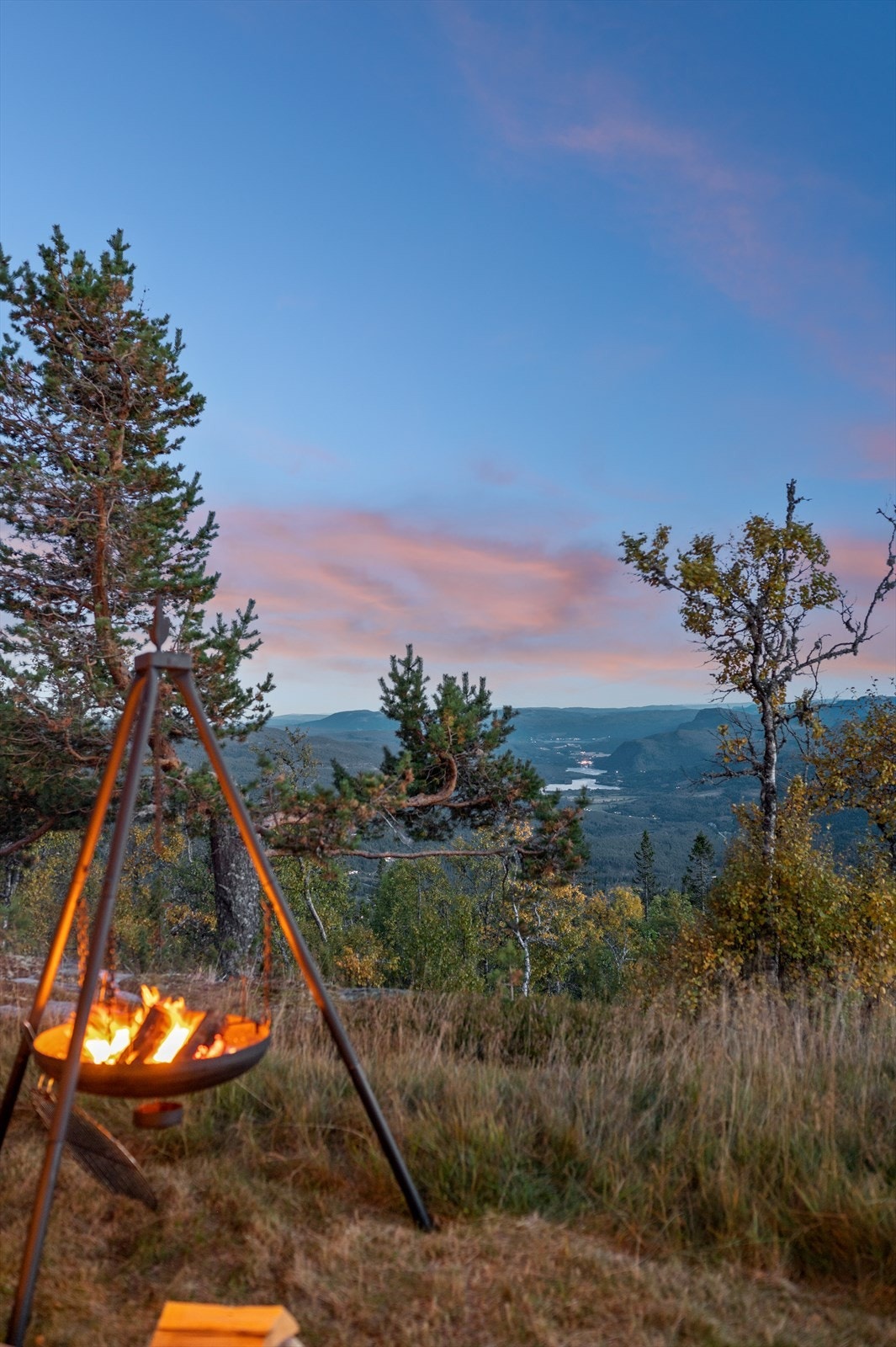 Velkommen til visning! Galleribilde