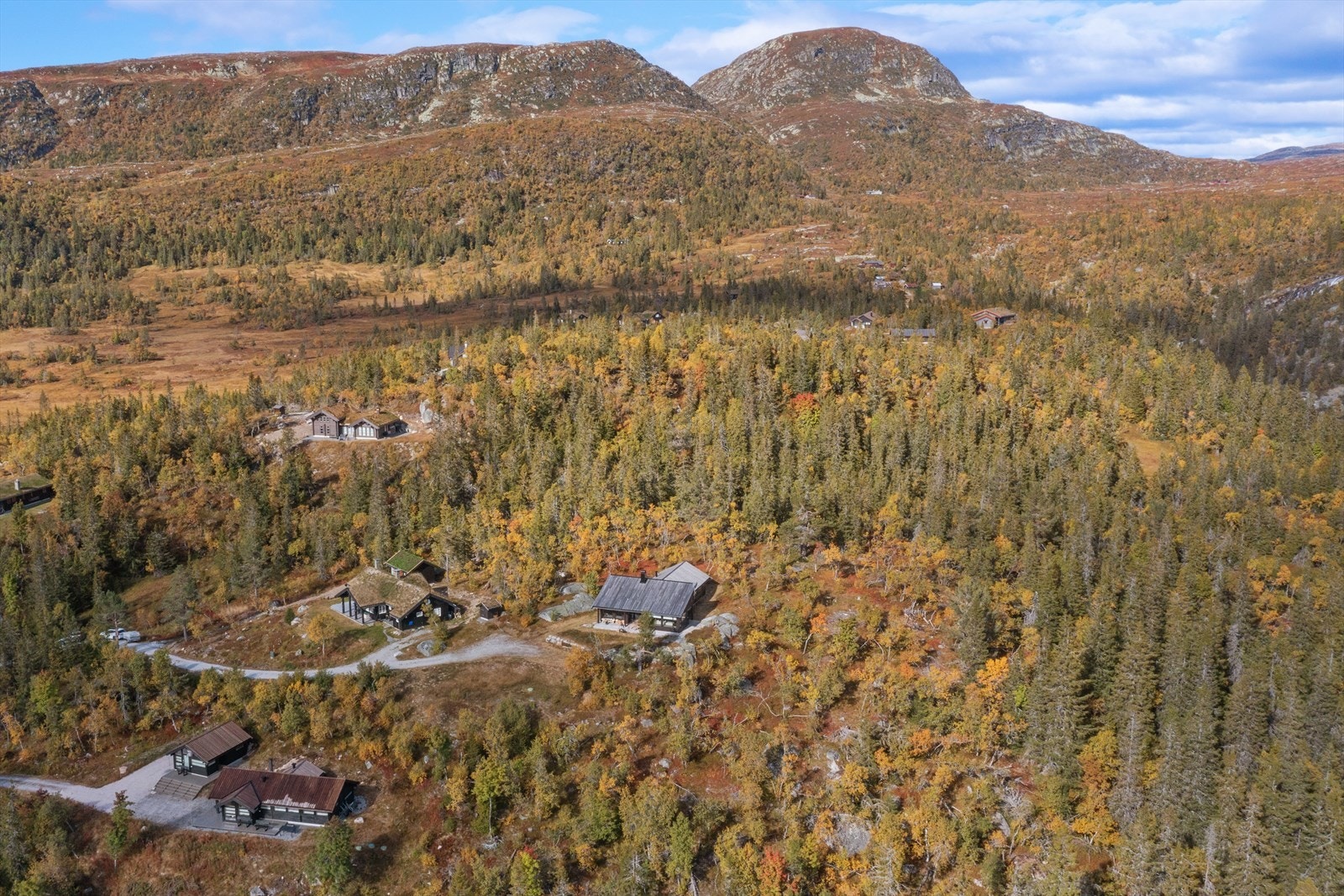 Selveiet tomt øverst og innerst i blindvei, i bakgrunn Drotninggutunatten (1234 moh), fin tur for små og store Galleribilde