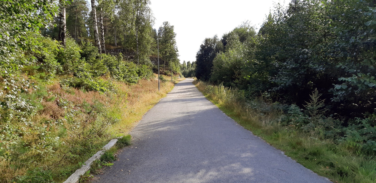 Skoleveien Lina Galleribilde