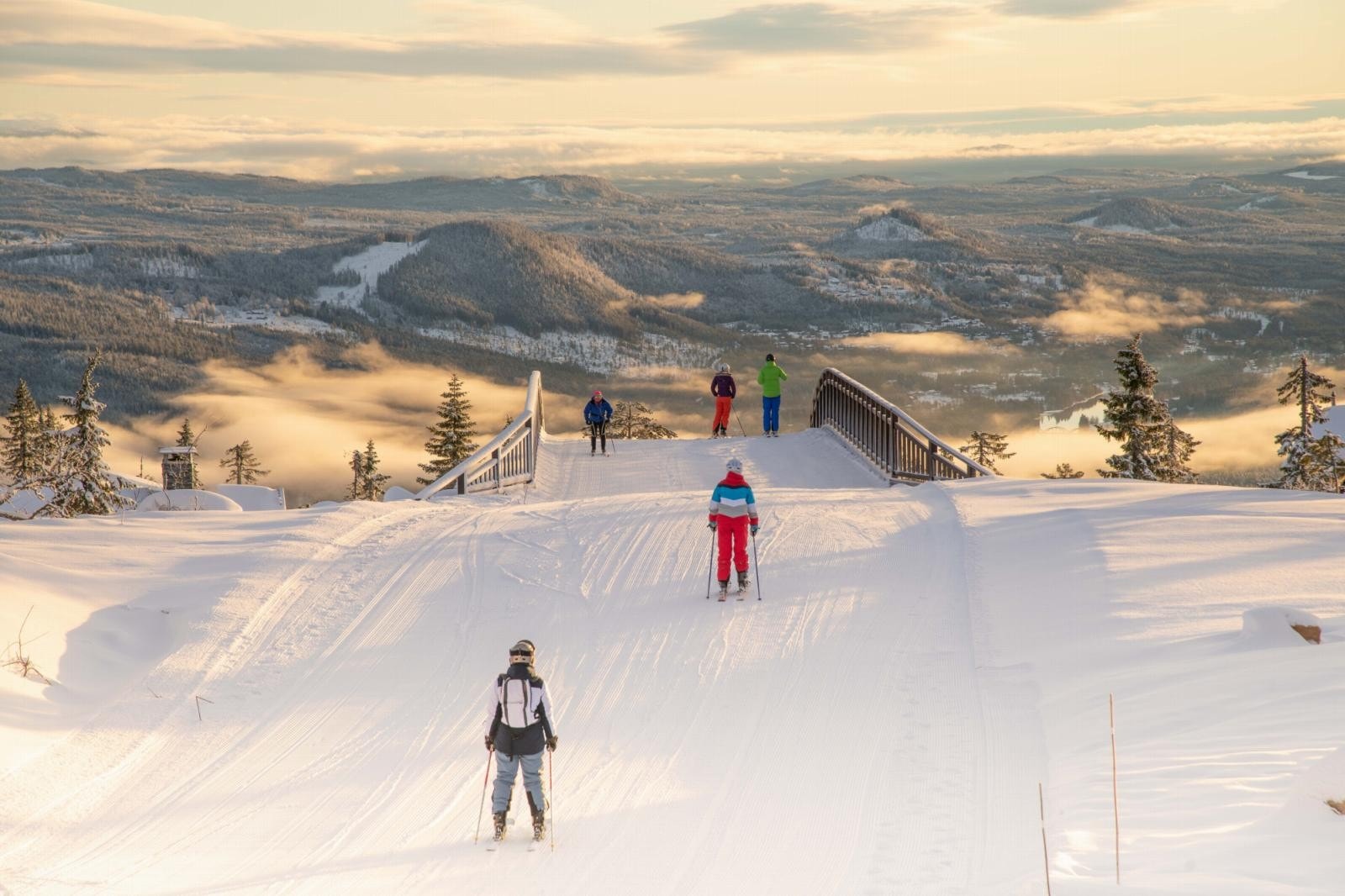 Transportløype forbi området Galleribilde