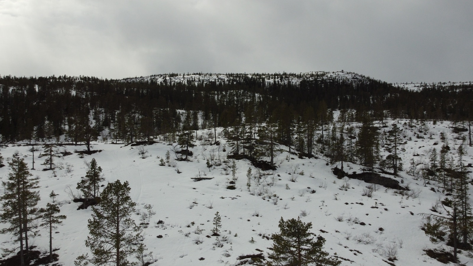 Områdebilde Galleribilde