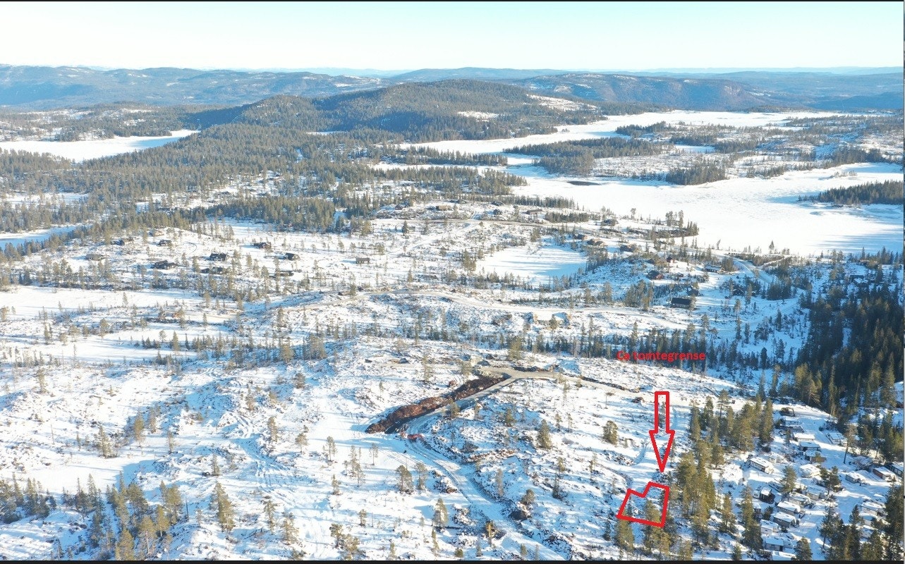 Ca omriss av tomt Galleribilde