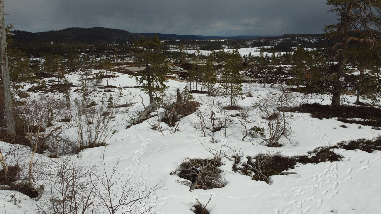 Områdebilde Galleribilde