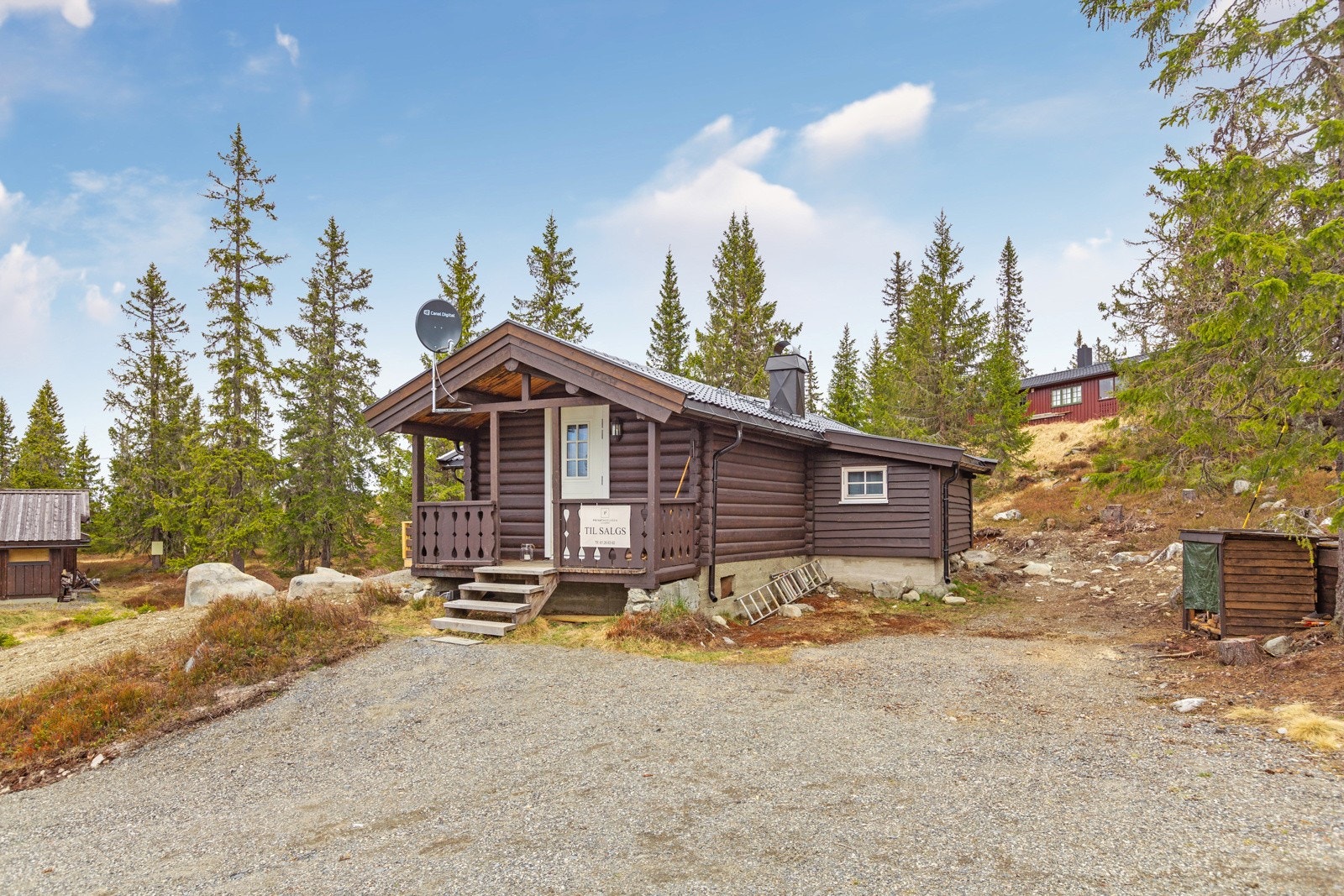 Naturtomt med naturlig beplantning av busker og gress Gruset innkjøring og biloppstillingsplass. Galleribilde