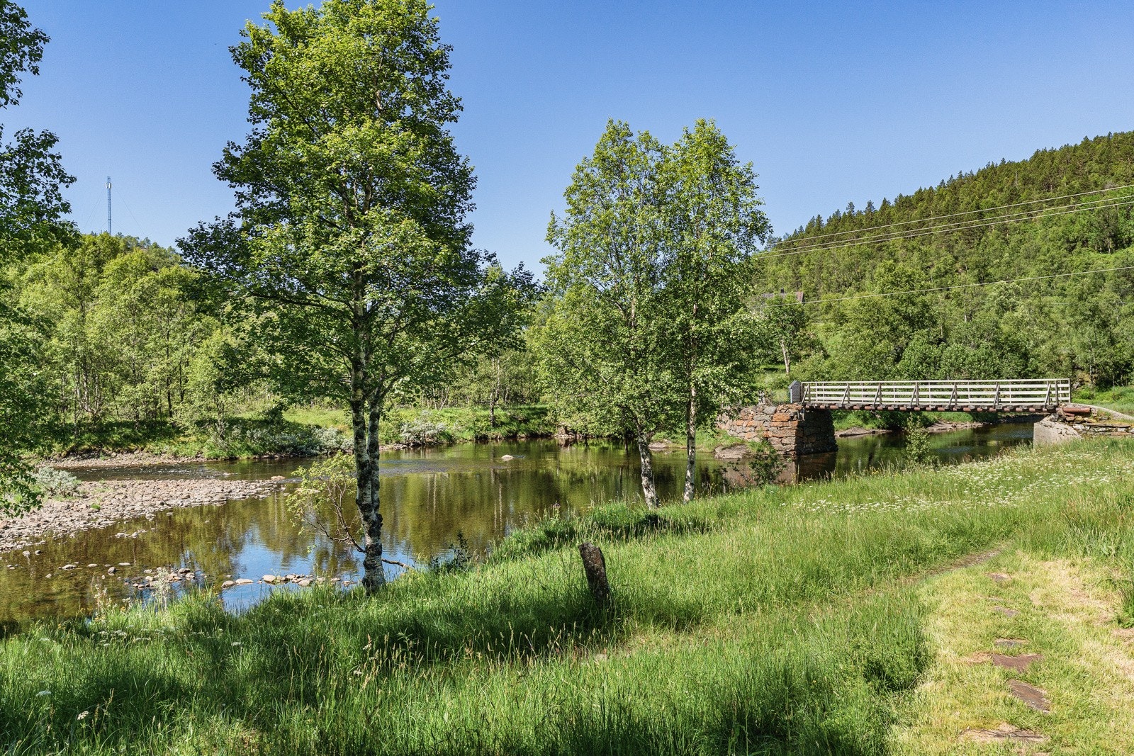 Nærområdet Galleribilde