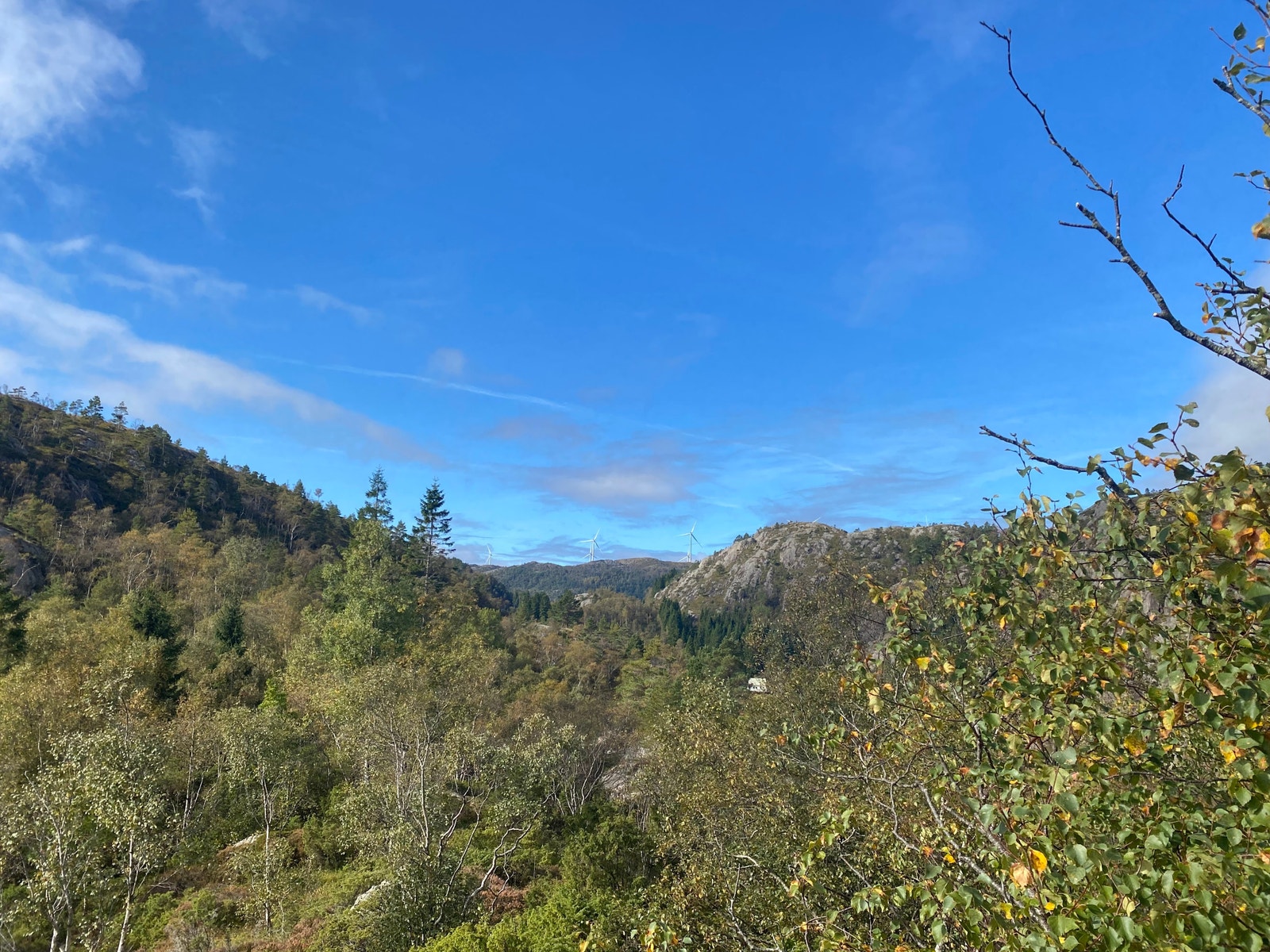 Det kan skimtes noen vindmøller langt vekke fra noen av tomtene. Disse sjenerer ikke med lyd etter det vi har opplevd når vi har vært i feltet. Galleribilde