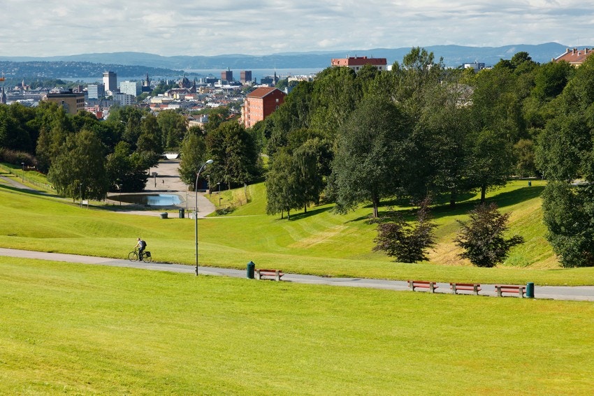 Både Torshovparken og Torshovdalen ligger en kort spasertur unna leiligheten. Galleribilde