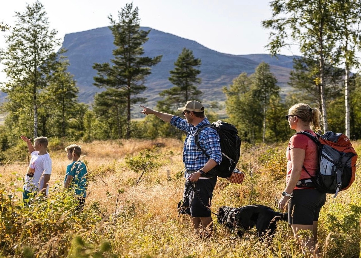 Turområde Galleribilde