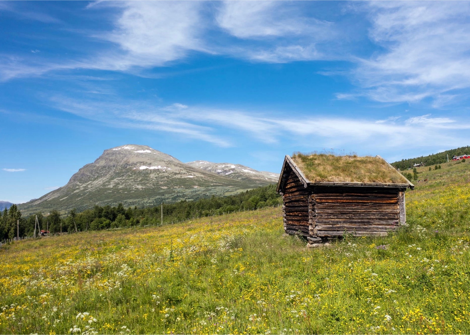 Turområde Galleribilde