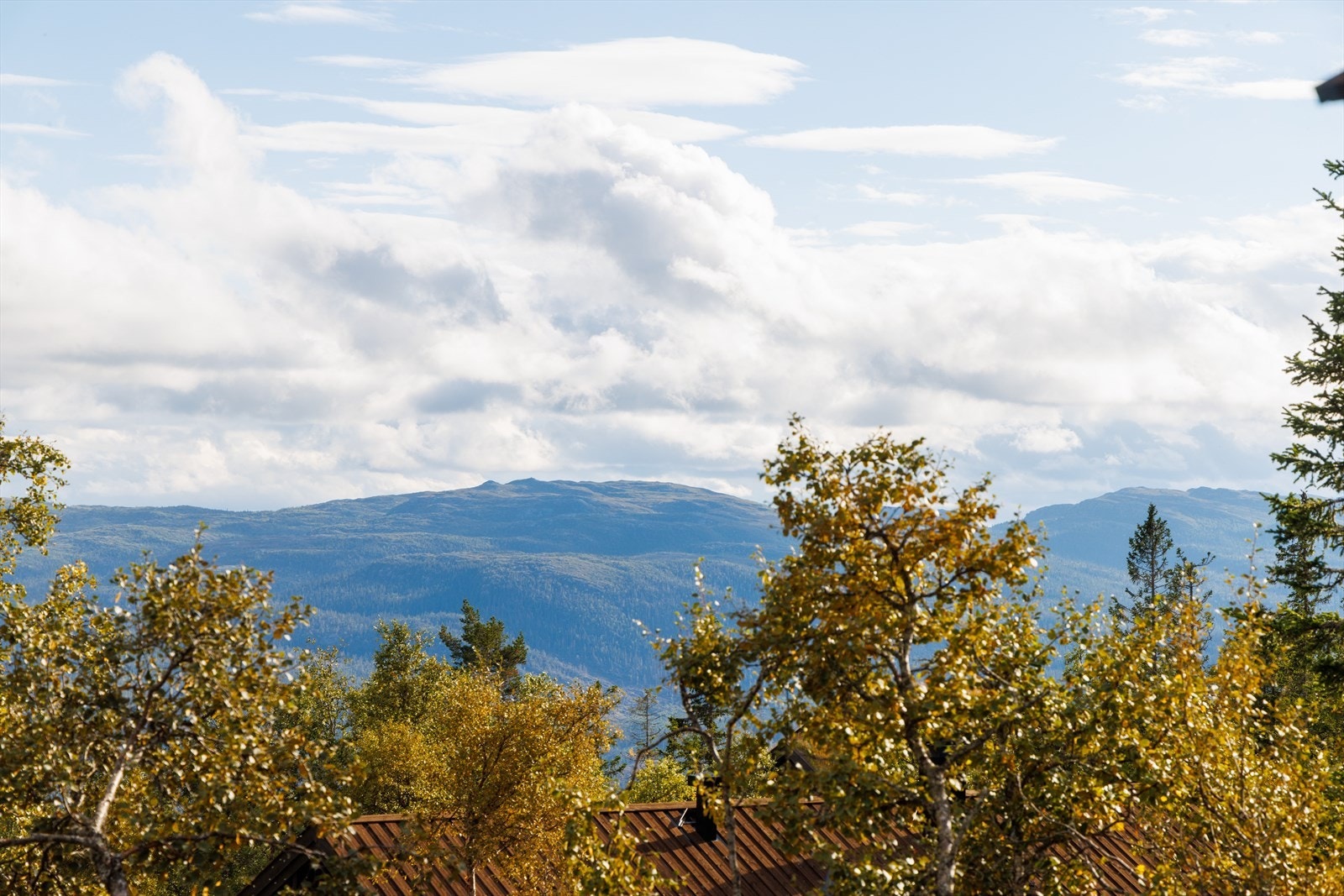 Fra hytta er det fin utsikt! Galleribilde