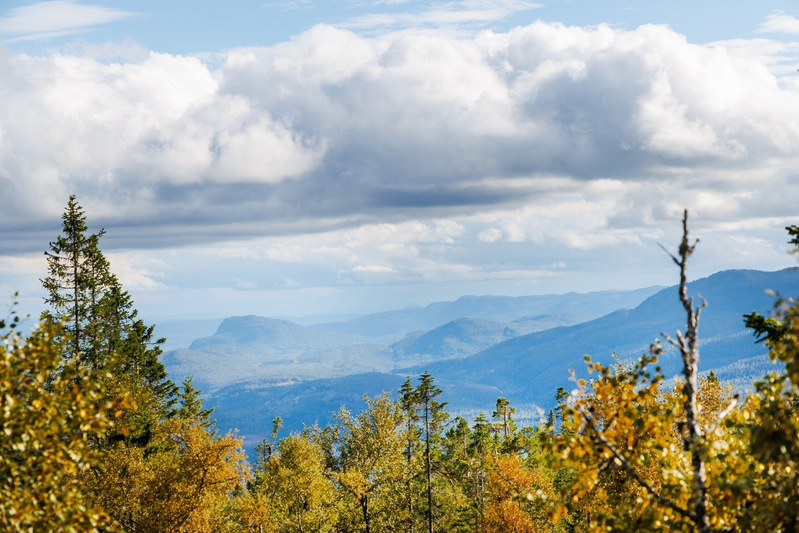 Fra hytta er det fin utsikt! Galleribilde