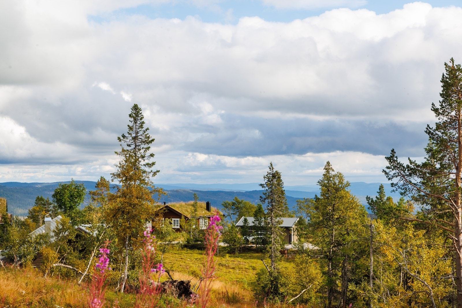 Fra hytta er det fin utsikt! Galleribilde