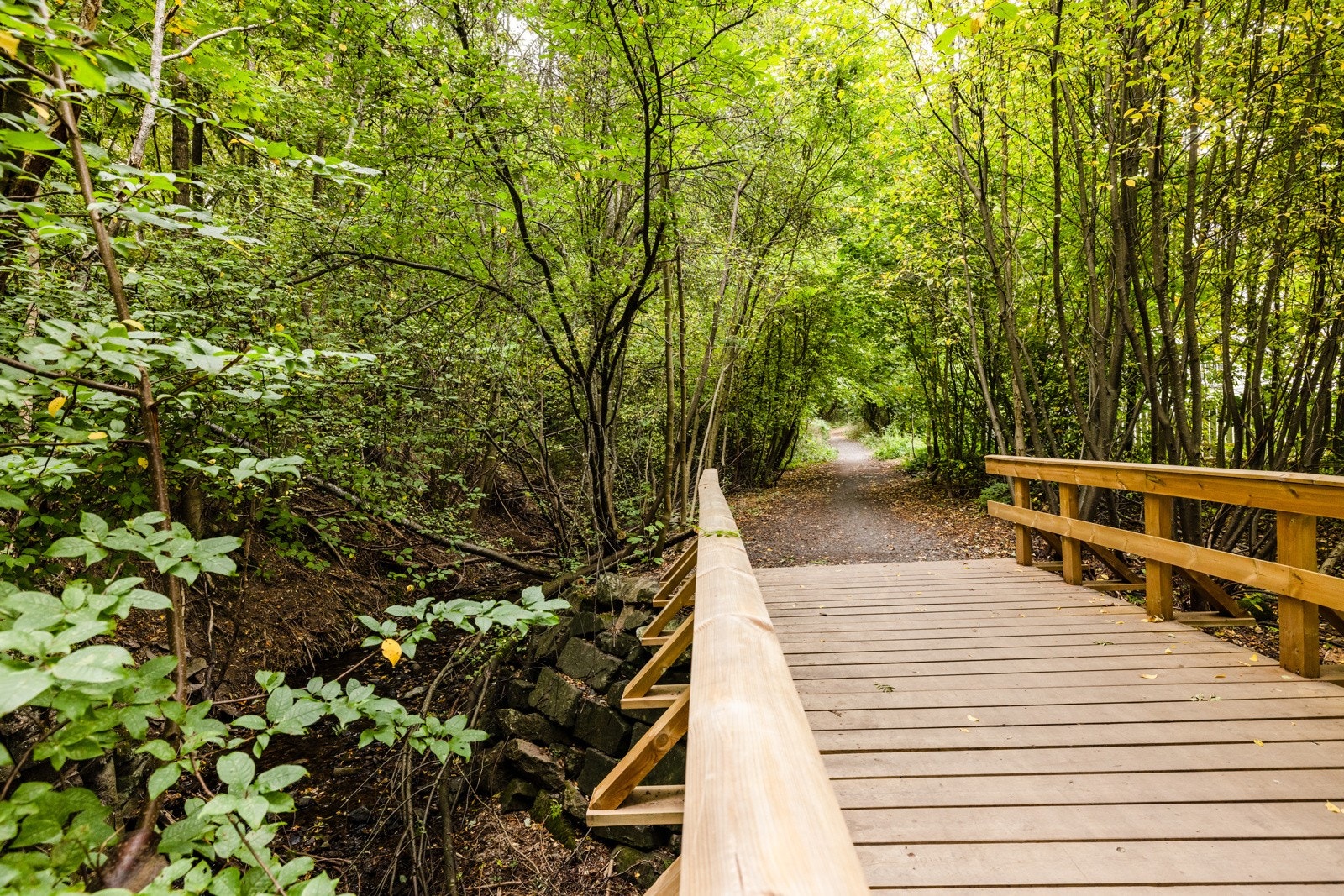 Flotte turmuligheter, sommer som vinter Galleribilde
