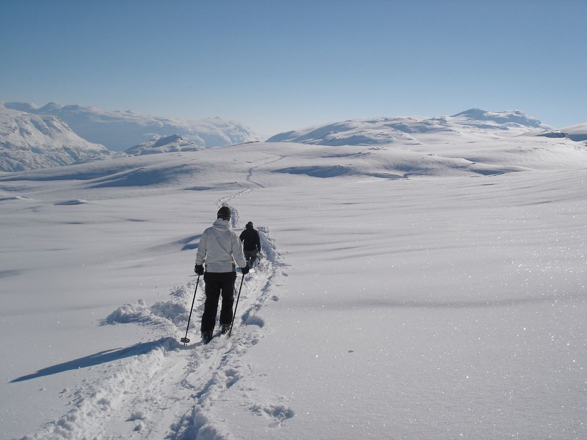 Livet er fint i Røldal Galleribilde