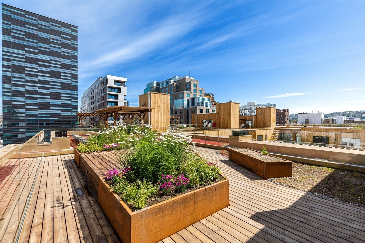 Takterrasse | Barcode ligger rett bak Dronninglunden. Galleribilde