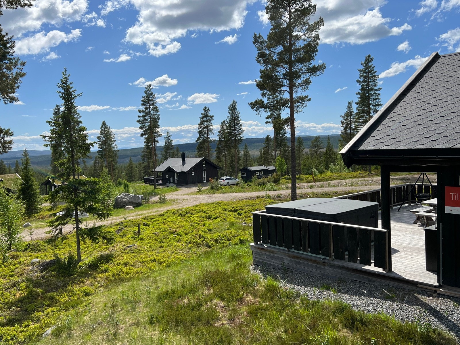 Sommerstemning Galleribilde