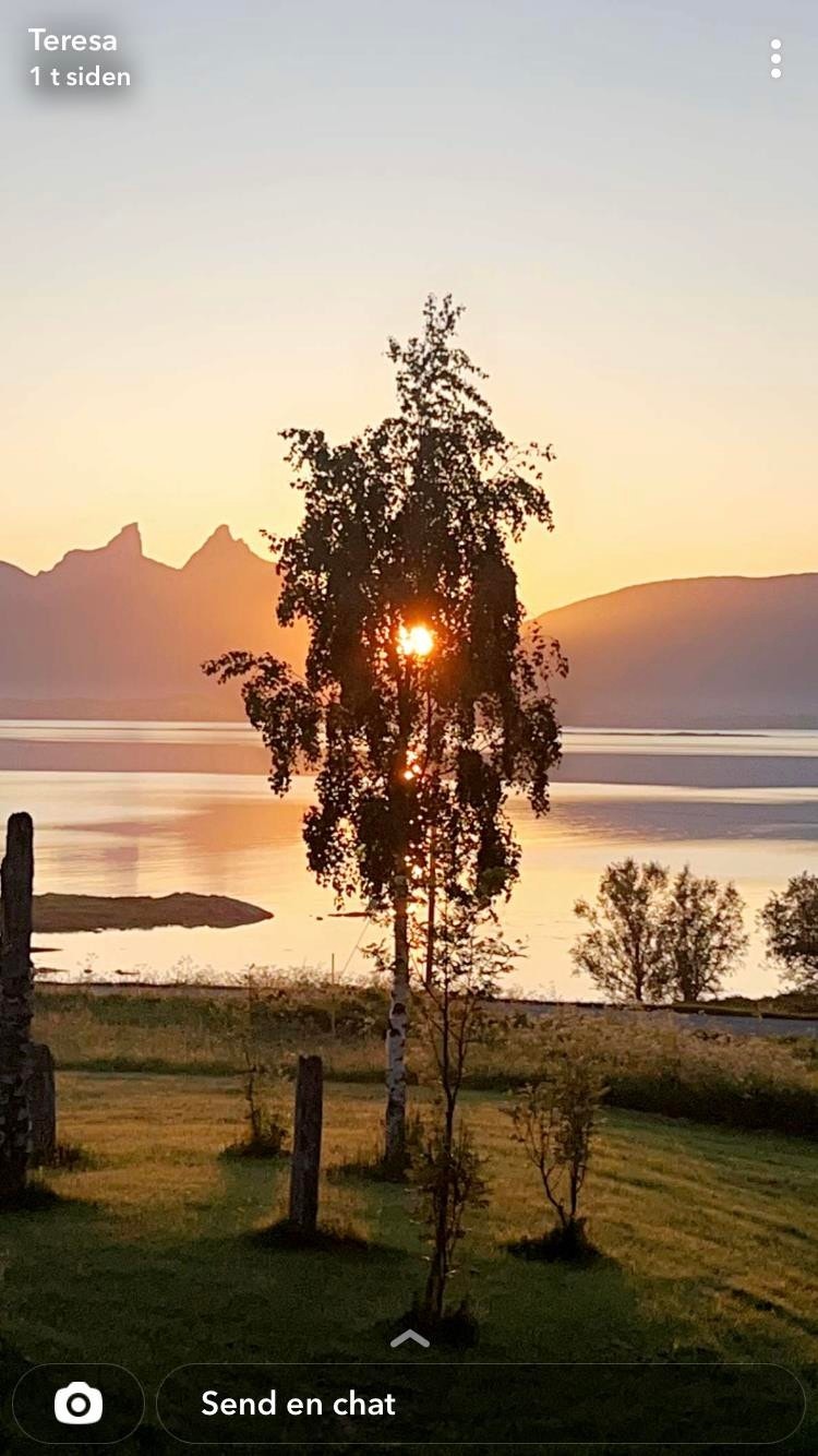 Stemningsbilde tatt av eiere Galleribilde
