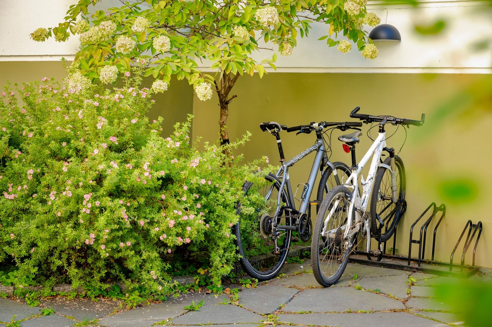 Det er felles sykkelparkering for beboerne. Galleribilde