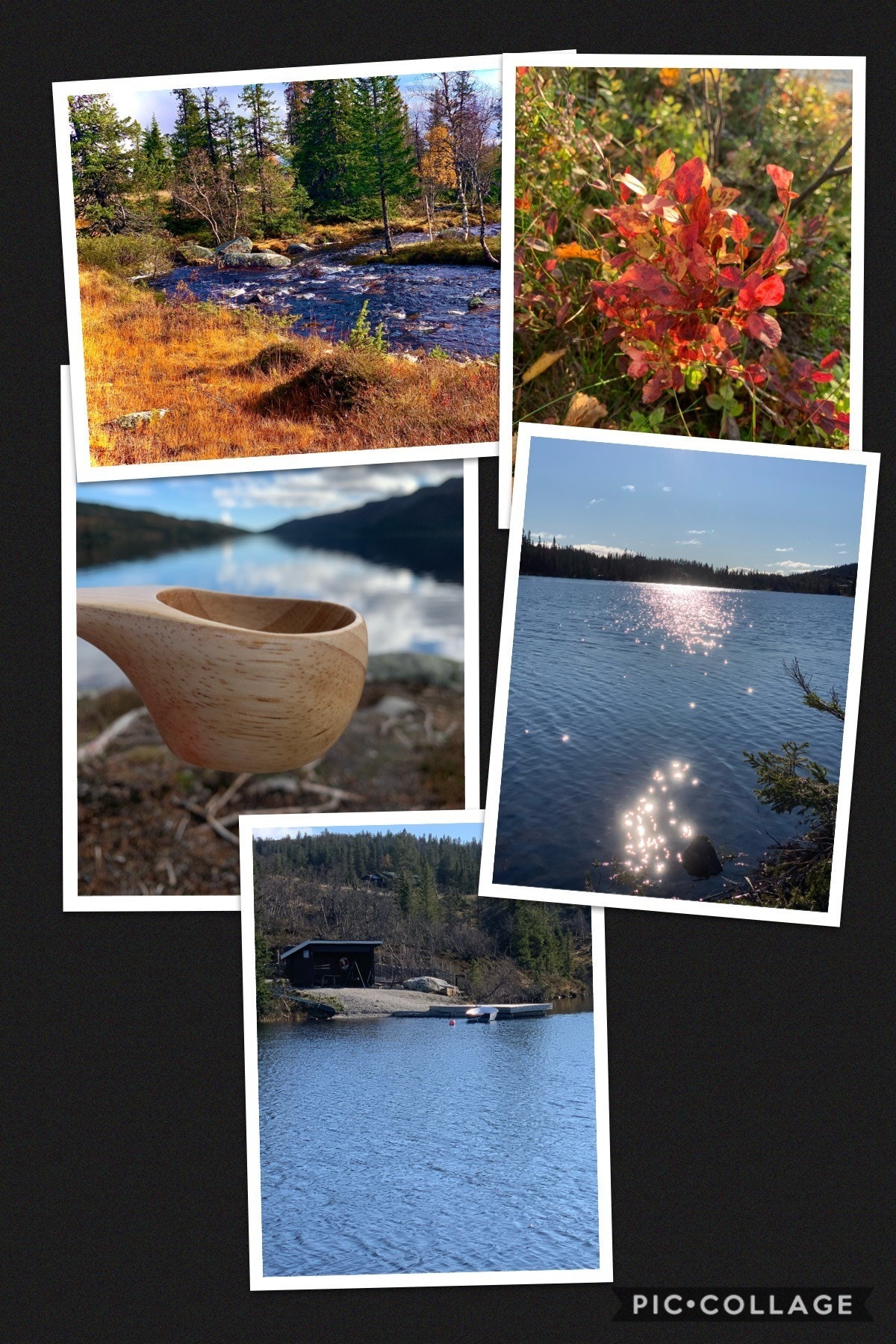 Søre Vegglifjell høsten 2020 Galleribilde