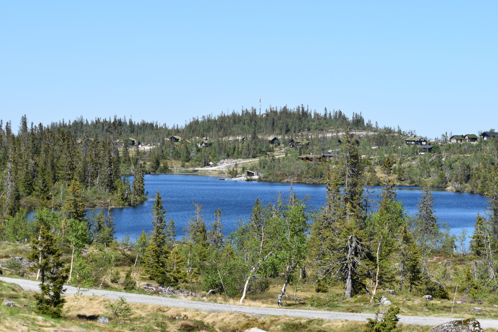Fra Vorsetdalen, utsikt mot Nordre Vorsetvann. Galleribilde