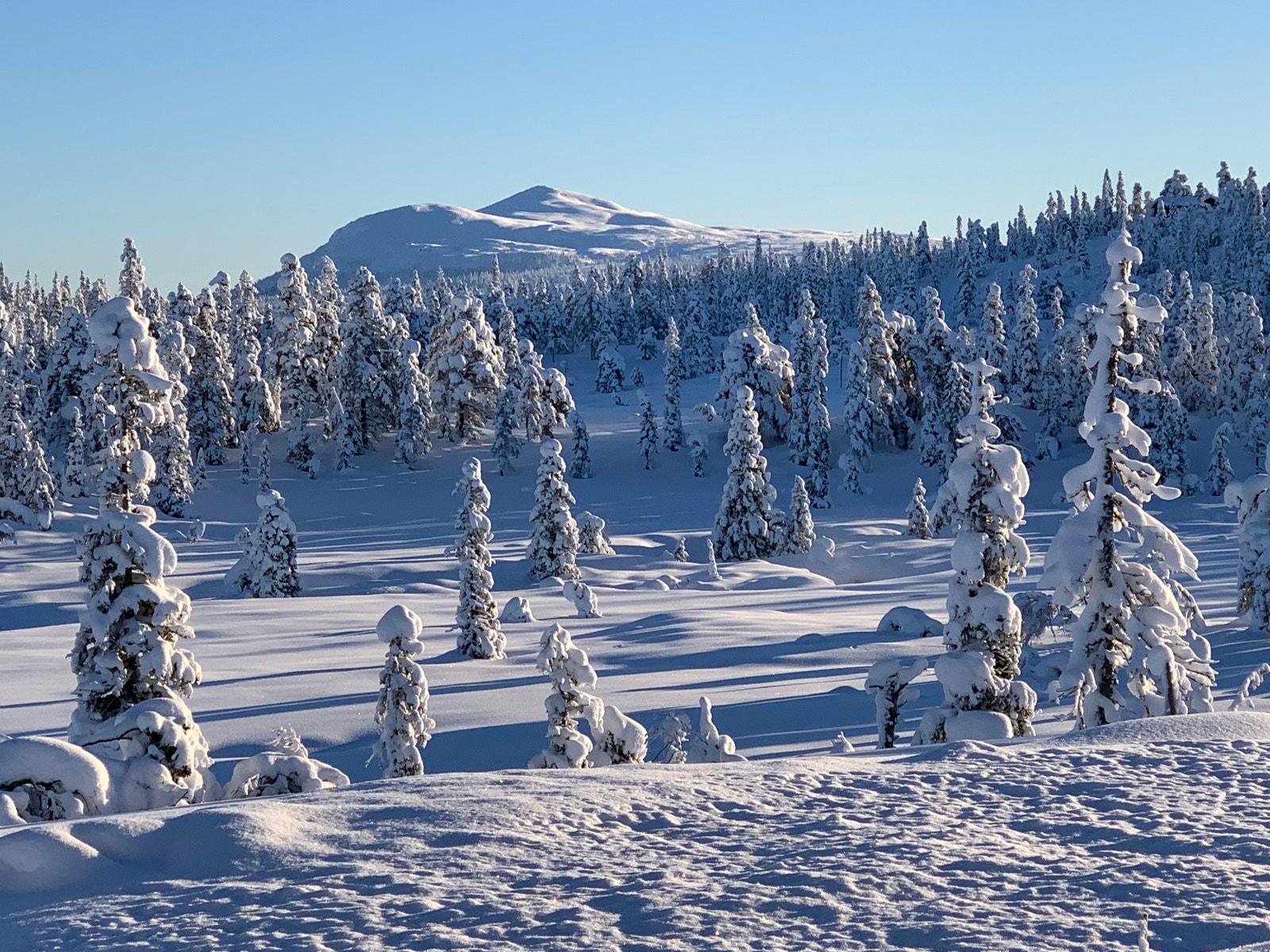Tomt nr 90 i Smyl-Li på hele 1722 kvm. Galleribilde
