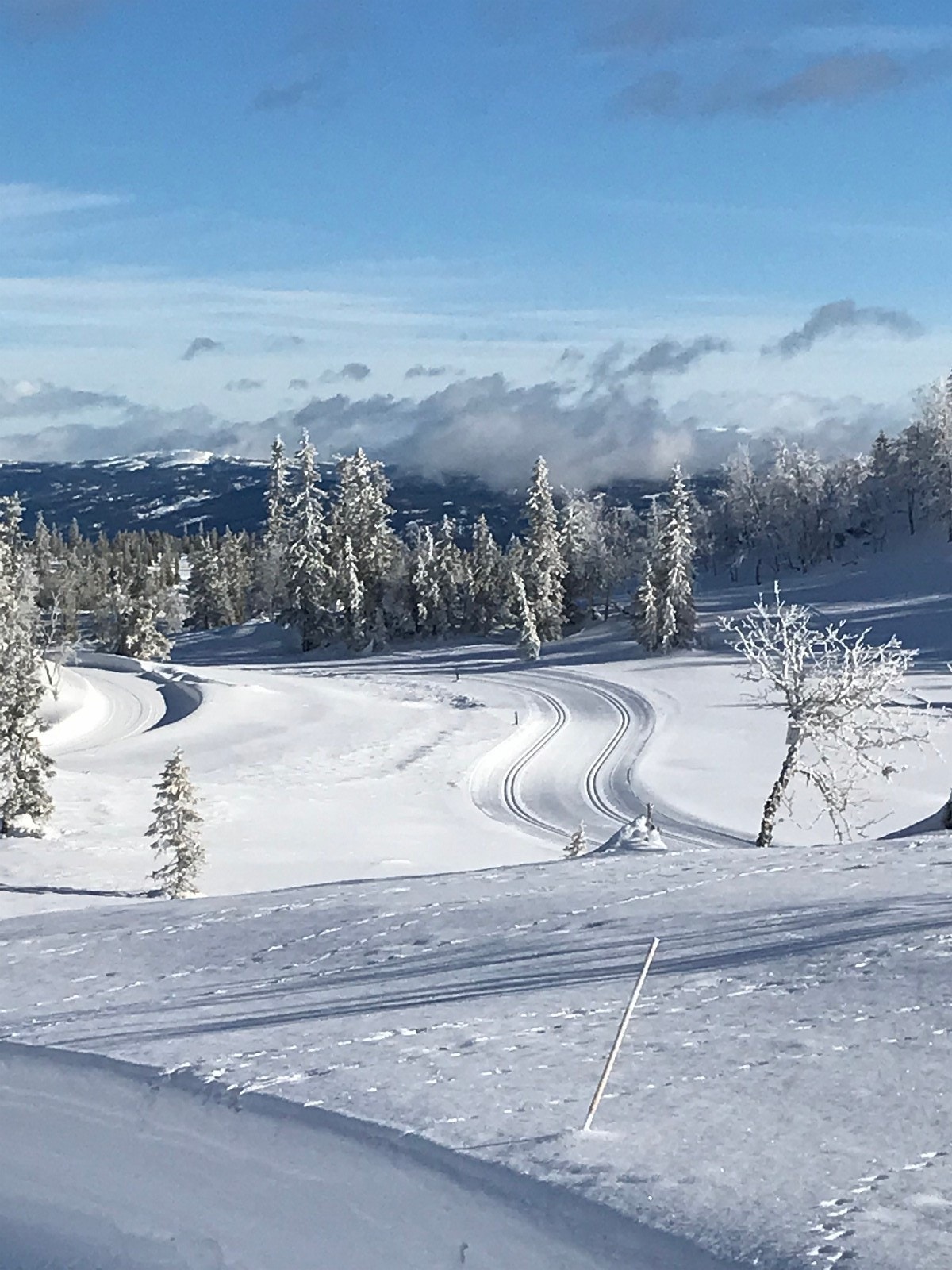 Utsikt fra skiløype i området. Galleribilde