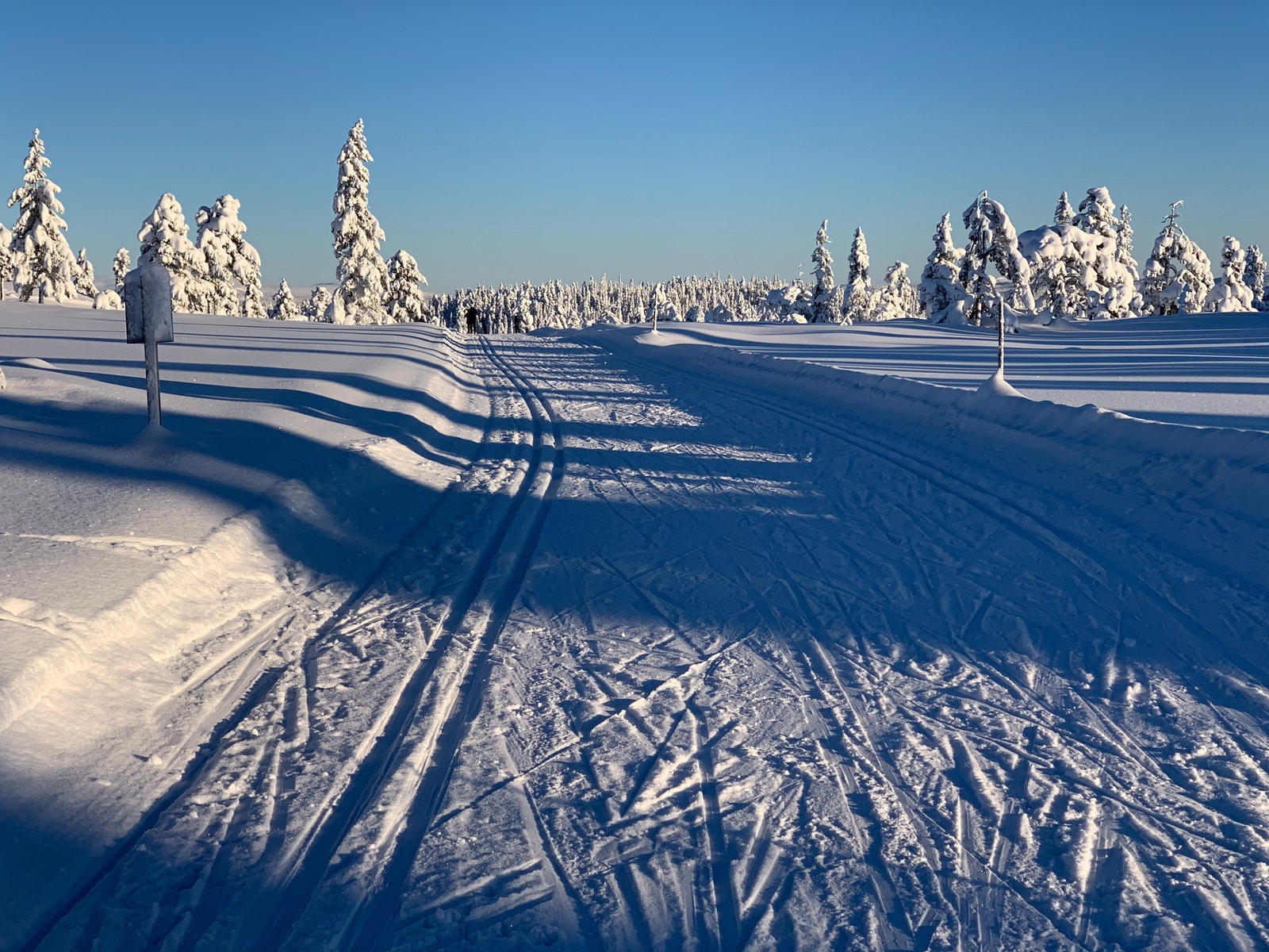 Hoved skiløype 300 m fra Smyl-Li Galleribilde