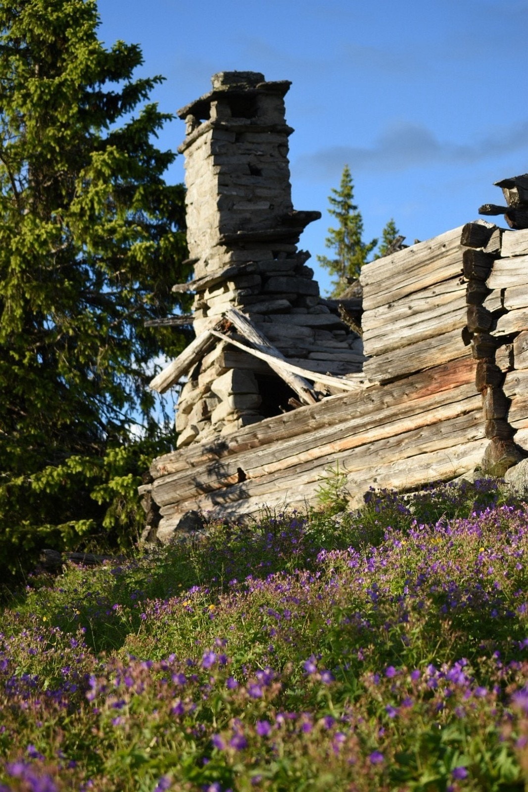 Solid pipe som står etter x antall 100 år Galleribilde