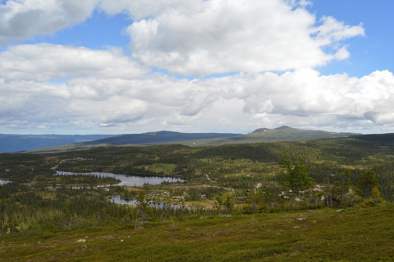 Vorset Søre Vegglifjell Galleribilde