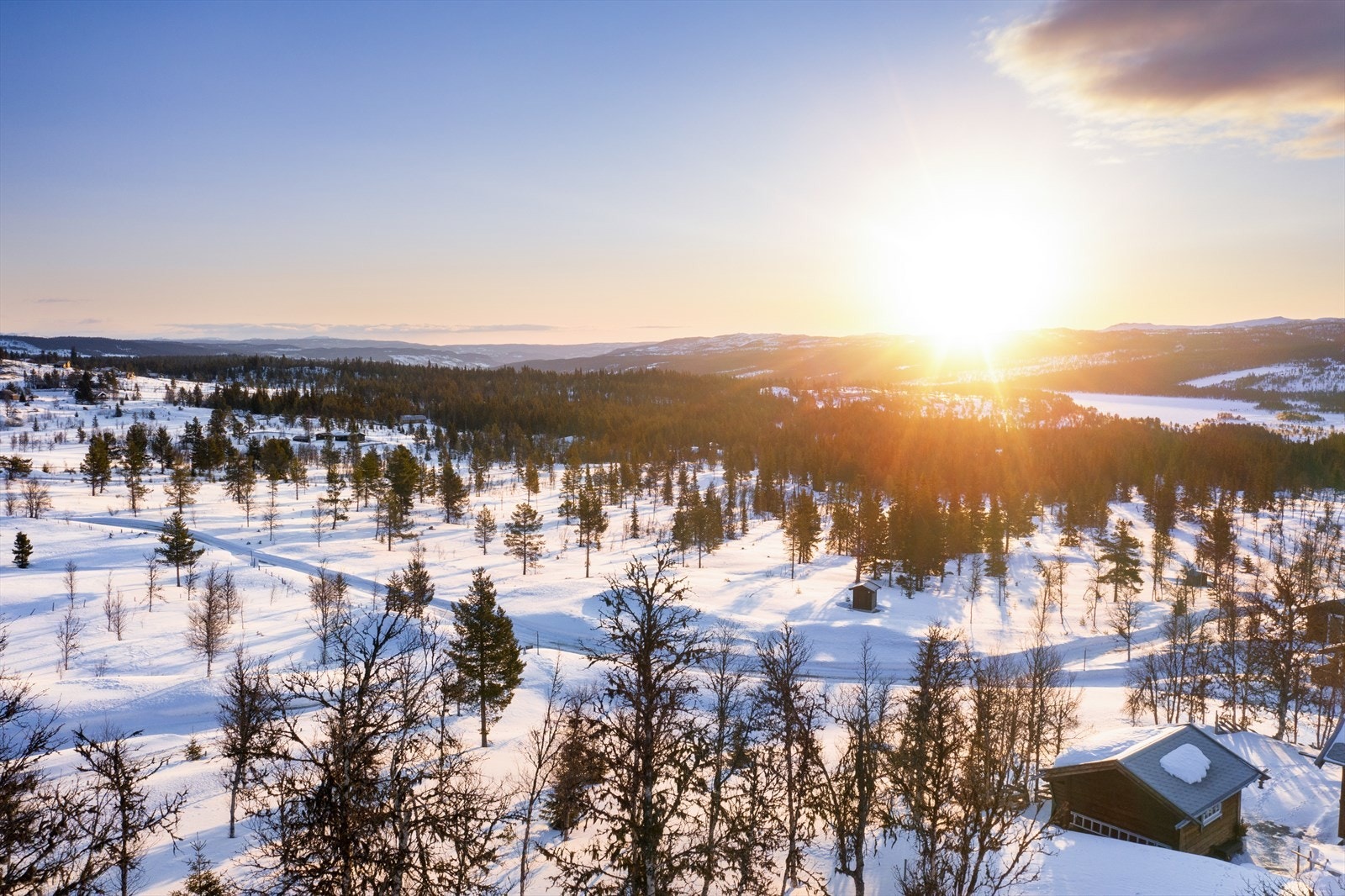 PRINT_2020-04-04 EM1Gol Tomtefelt Lyseren Susanne_ALTver-0730.jpg Galleribilde