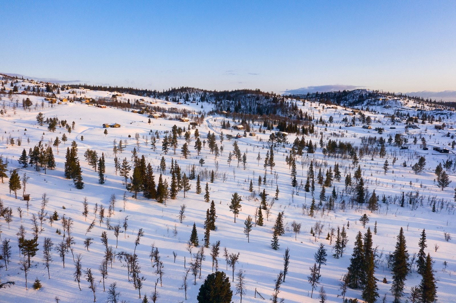 PRINT_2020-04-04 EM1Gol Tomtefelt Lyseren Susanne_ALTver-0703.jpg Galleribilde