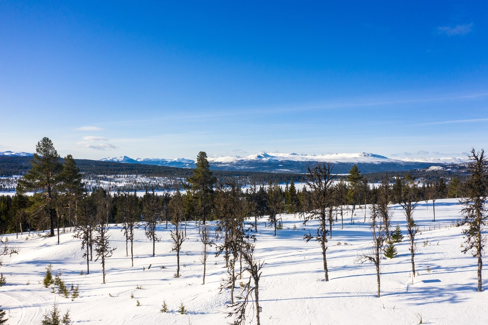 PRINT_2020-04-04 EM1Gol Tomtefelt Lyseren Susanne-0773.jpg Galleribilde