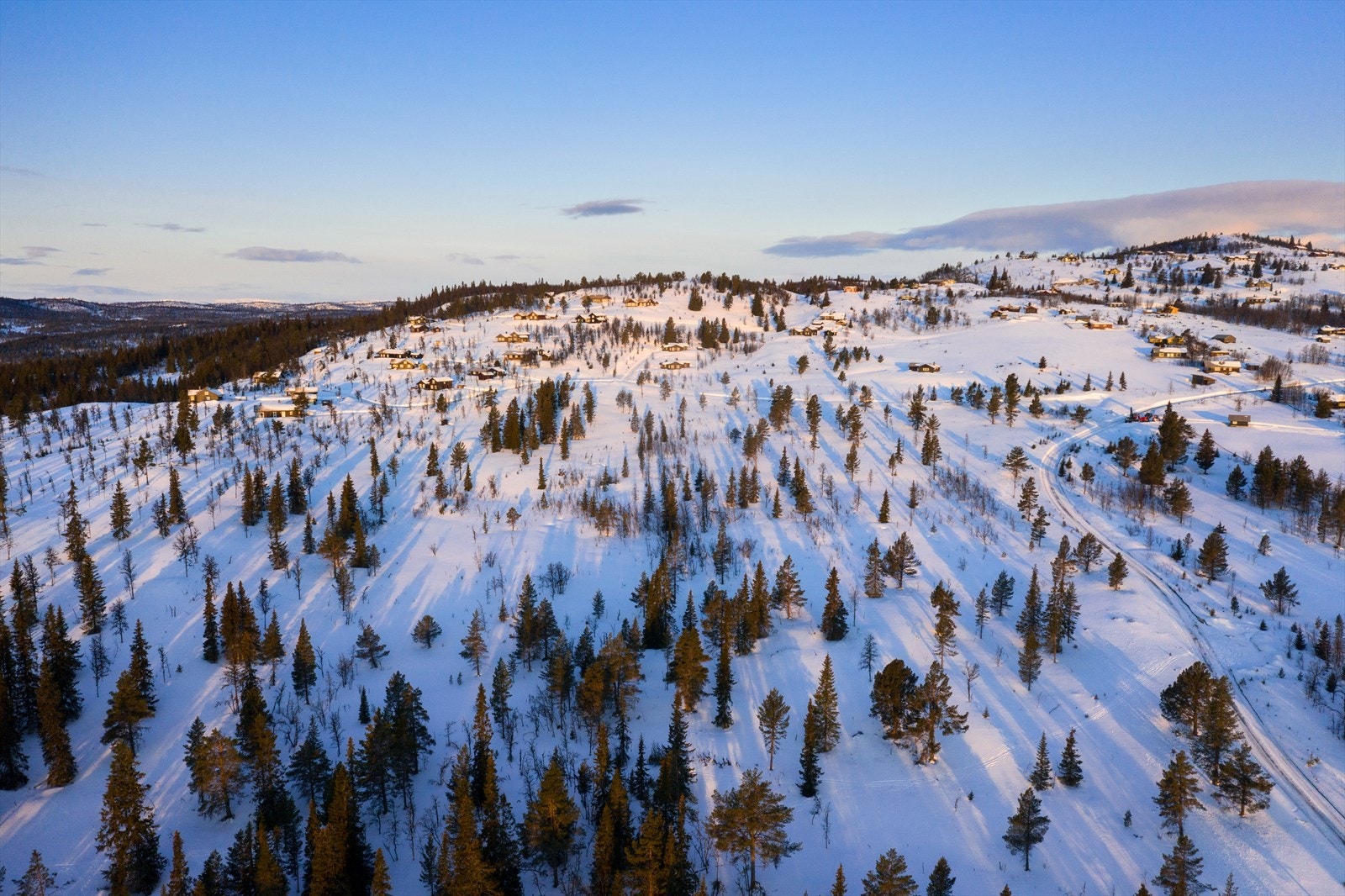 PRINT_2020-04-04 EM1Gol Tomtefelt Lyseren Susanne_ALTver-0705.jpg Galleribilde