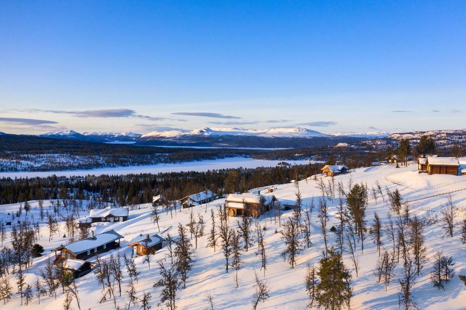 PRINT_2020-04-04 EM1Gol Tomtefelt Lyseren Susanne_ALTver-0726.jpg Galleribilde