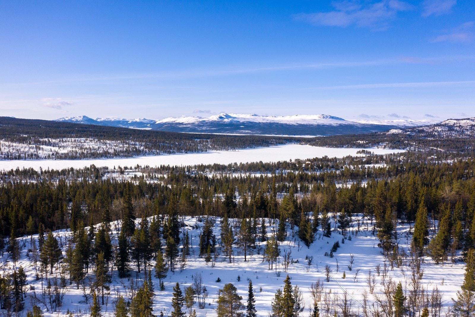 PRINT_2020-04-04 EM1Gol Tomtefelt Lyseren Susannee-0781.jpg Galleribilde