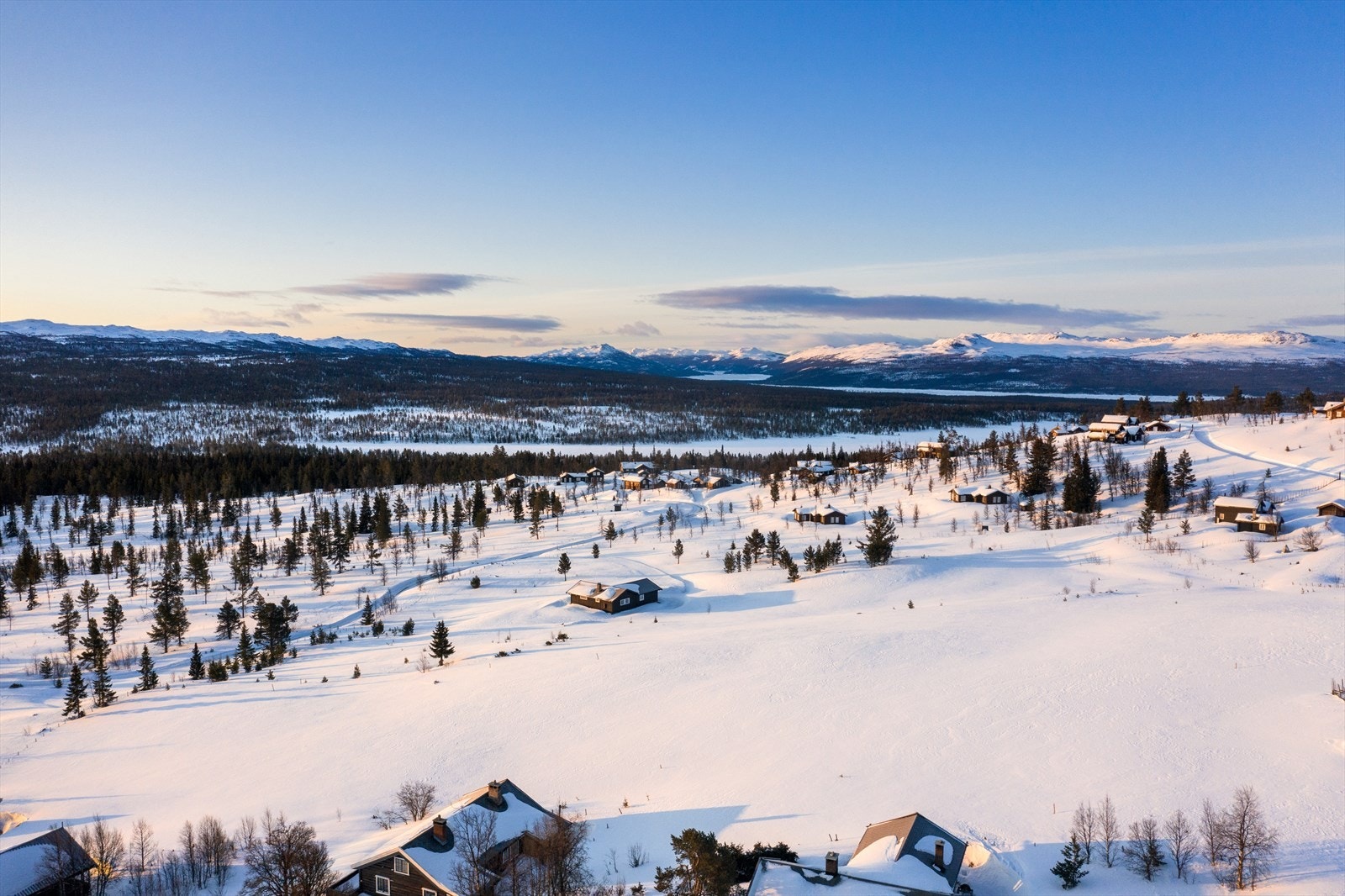 PRINT_2020-04-04 EM1Gol Tomtefelt Lyseren Susanne_ALTver-0711.jpg Galleribilde