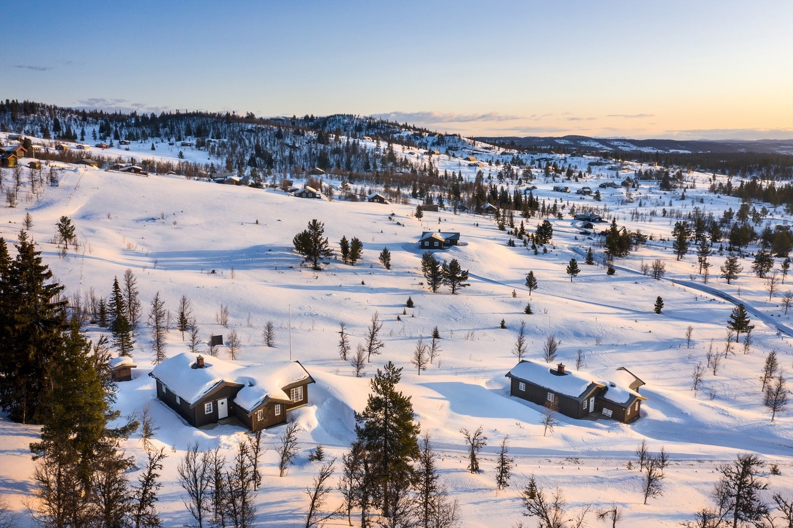 PRINT_2020-04-04 EM1Gol Tomtefelt Lyseren Susanne_ALTver-0717.jpg Galleribilde