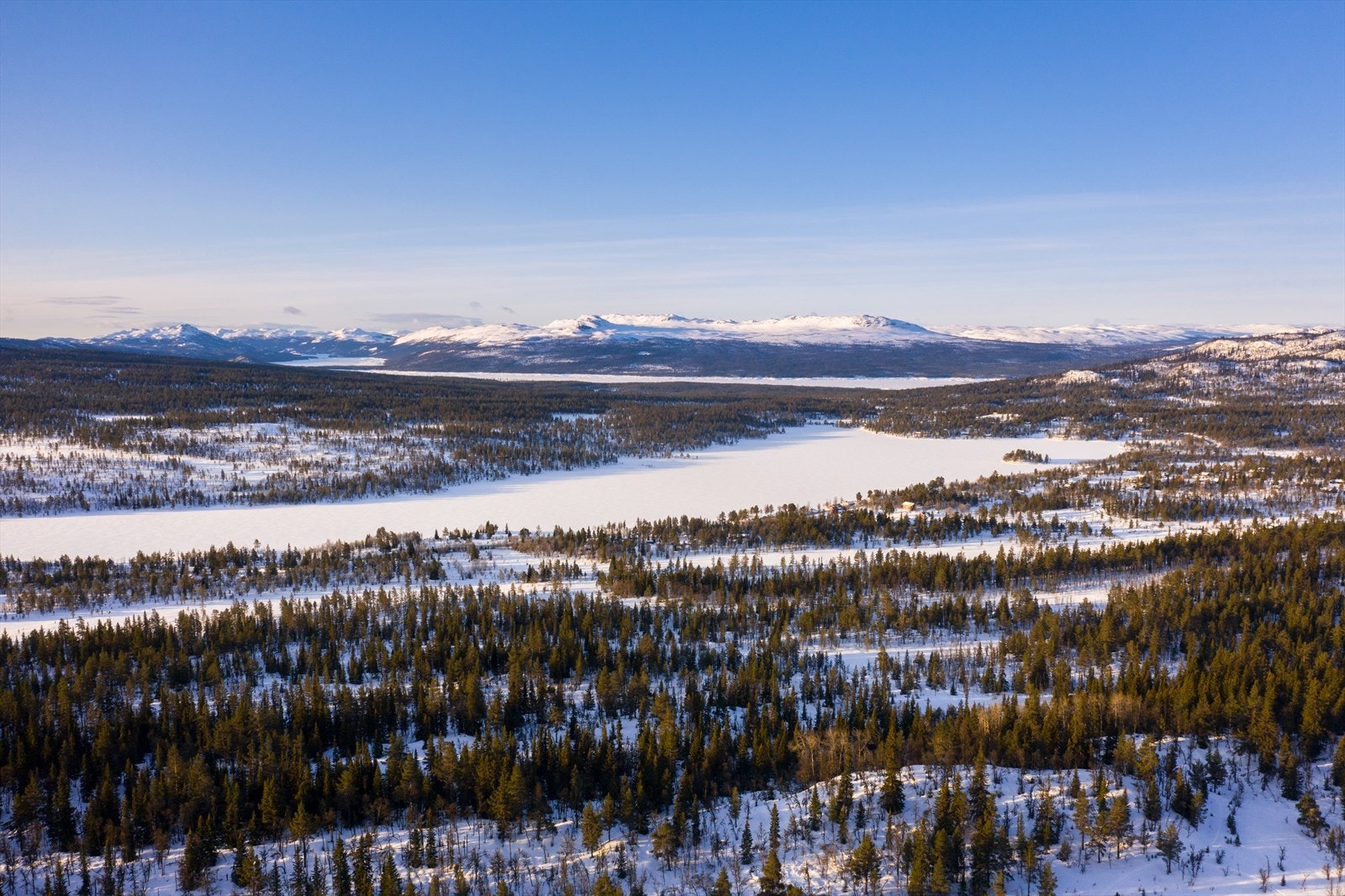 PRINT_2020-04-04 EM1Gol Tomtefelt Lyseren Susannee-0752.jpg Galleribilde