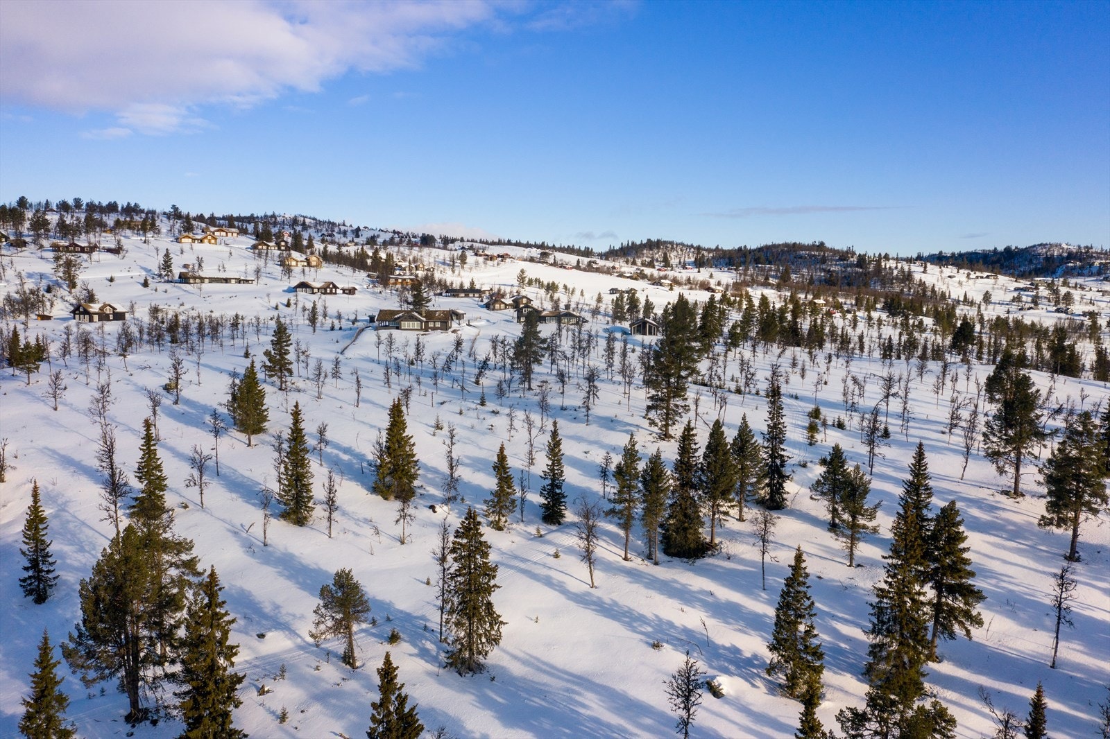 PRINT_2020-04-04 EM1Gol Tomtefelt Lyseren Susanne_ALTver-0797.jpg Galleribilde