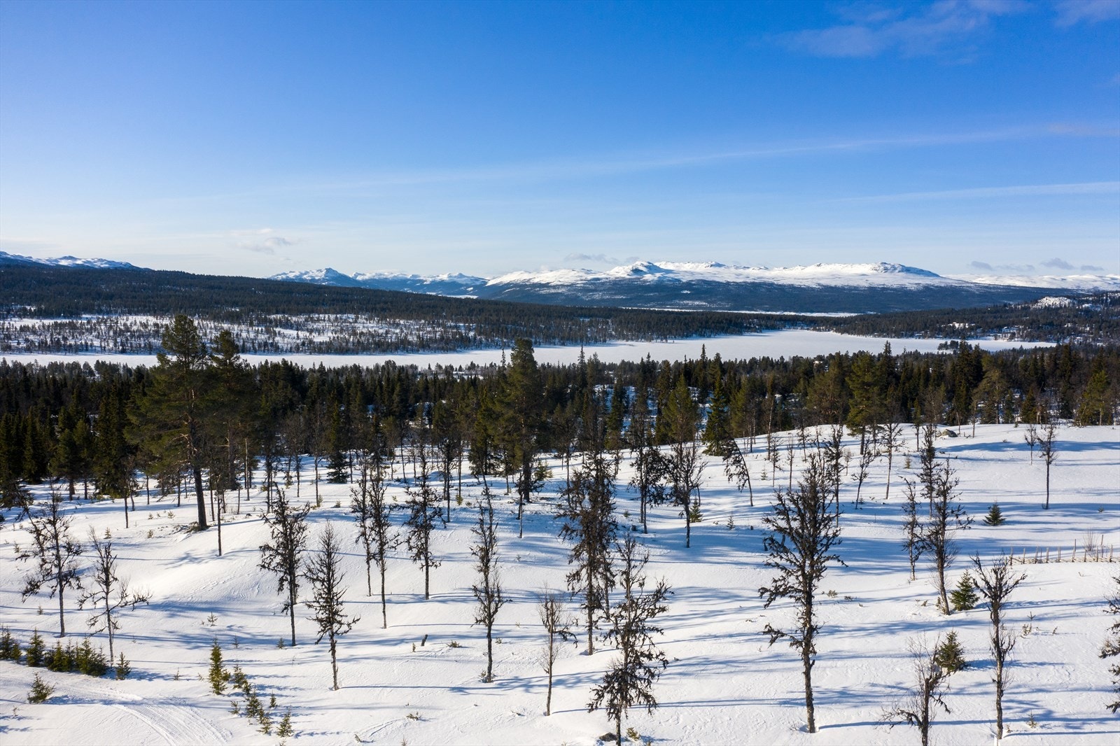 PRINT_2020-04-04 EM1Gol Tomtefelt Lyseren Susanne-0782.jpg Galleribilde