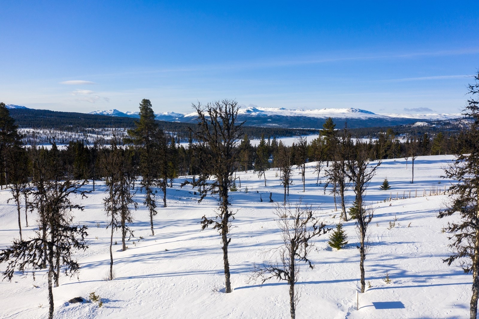 PRINT_2020-04-04 EM1Gol Tomtefelt Lyseren Susanne-0776.jpg Galleribilde