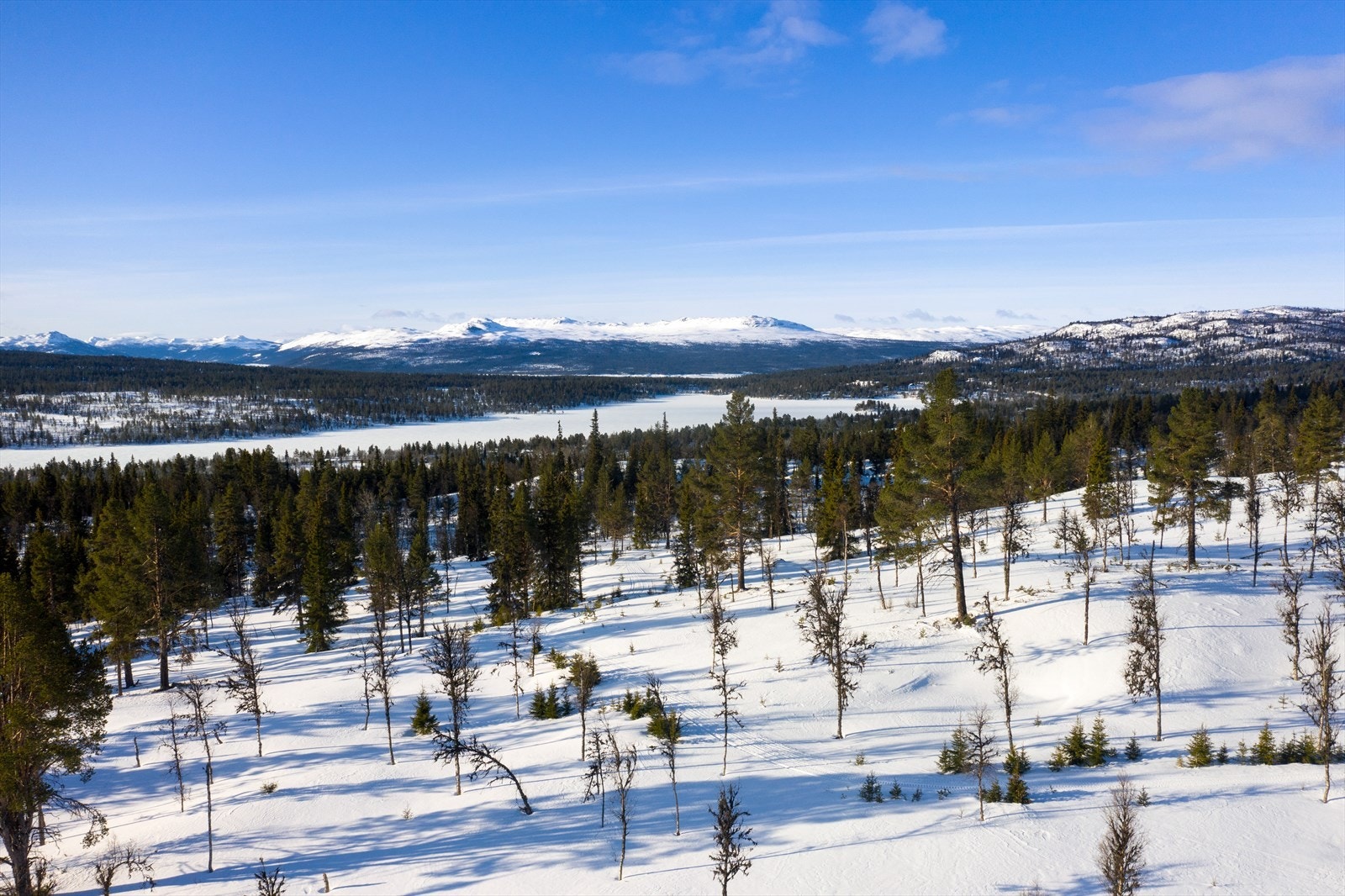 PRINT_2020-04-04 EM1Gol Tomtefelt Lyseren Susanne_ALTver-0783.jpg Galleribilde