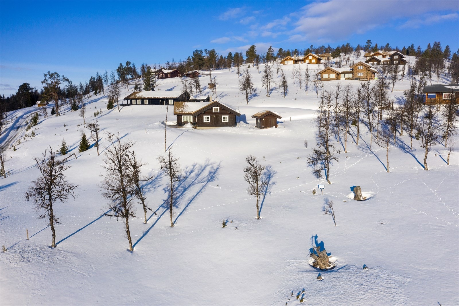 PRINT_2020-04-04 EM1Gol Tomtefelt Lyseren Susannee-0790.jpg Galleribilde